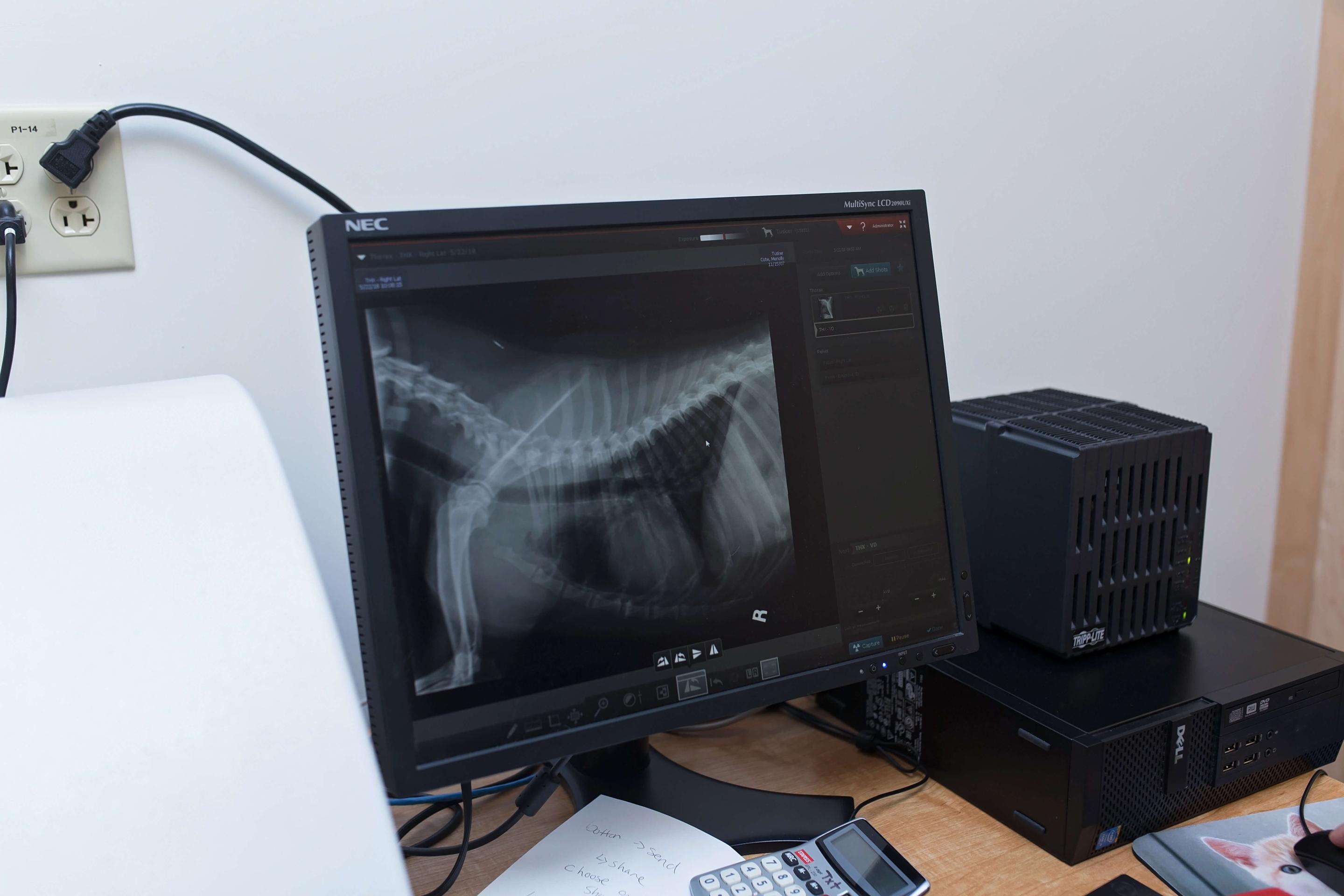 digital radiography