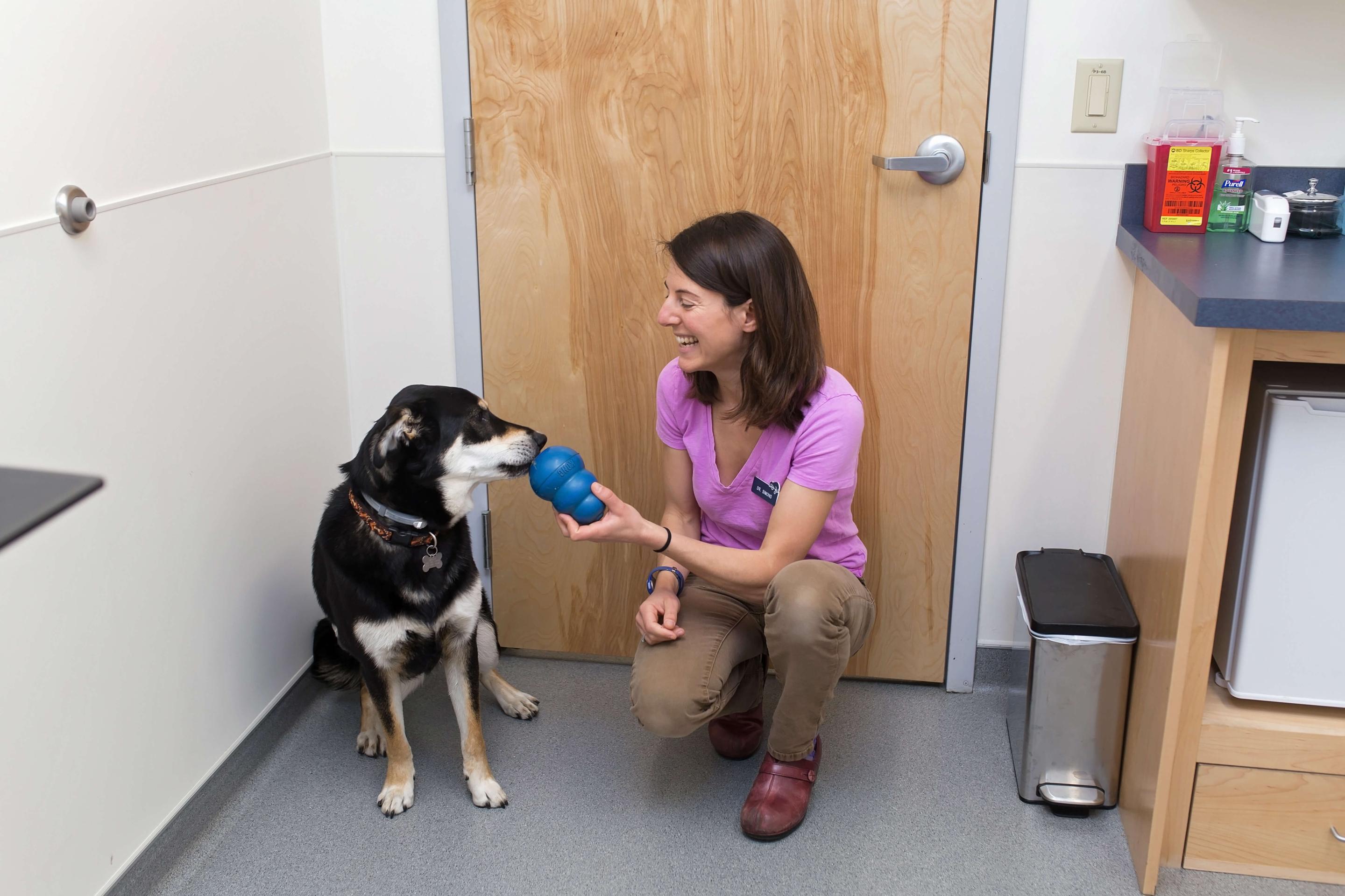 lady with dog